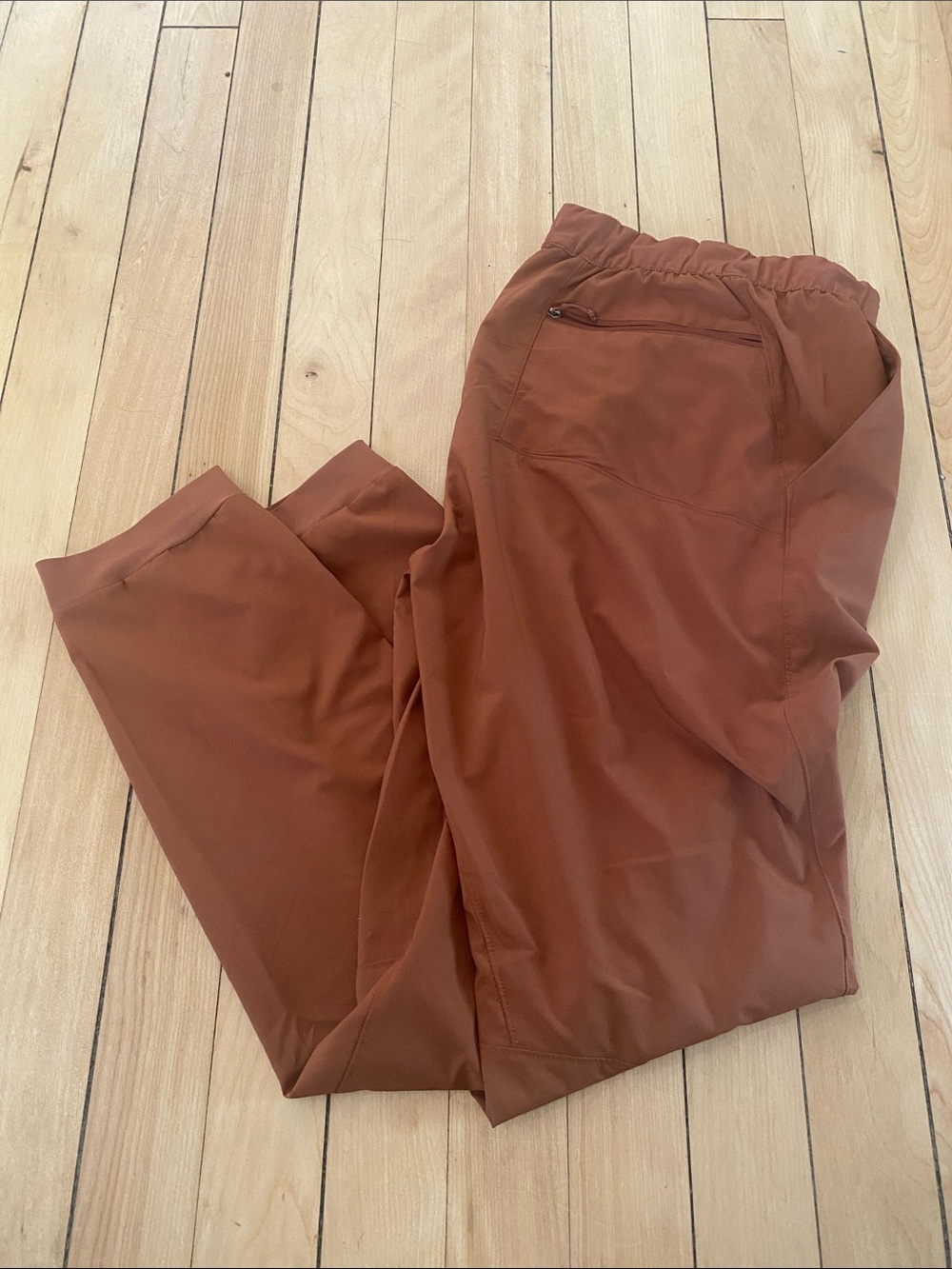 Patagonia Men's Joggers in Rust